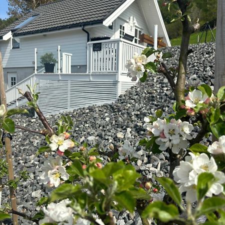 شقة Fjord Road Hjelmeland المظهر الخارجي الصورة